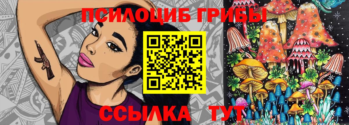 Галлюциногенные грибы Psilocybe  Галлюциногенные грибы мицелий  Вход с VPN  Алапаевск 